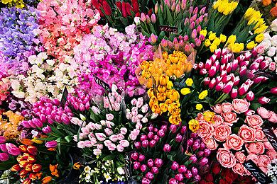 官方确定《霍格沃茨的遗产》登录NS 未透露是否为云游戏